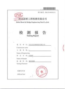 济南公司检测报告